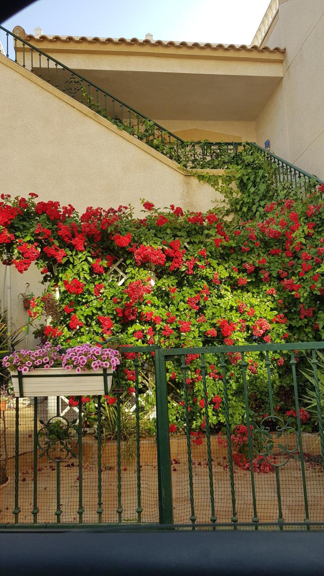 Apartamento Montegolf Con Terraza Privada Los Dolses Eksteriør billede